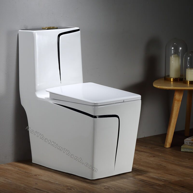 Bồn cầu liền khối trắng kẻ đen - BC121