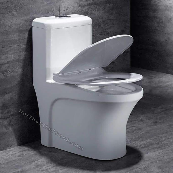 Bồn cầu liền khối màu trắng trơn - BC143