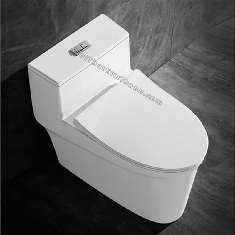 Bồn cầu liền khối màu trắng - BC162